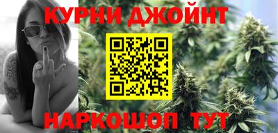 молекула духа Пугачёв